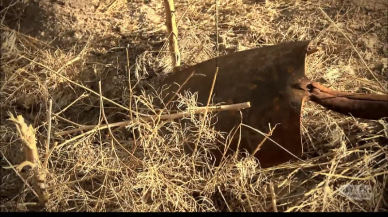 [Image: u4gpp3x8n8iz.png]