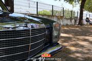 IMG-3098