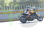 DSC-0667-(1)
