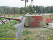 IMG-3626