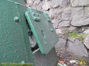 IMG-9593
