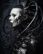 vallesia-obscura-1705947671536