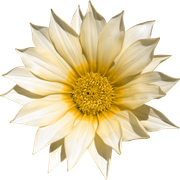 0_17d568_7c5149ef_X5L