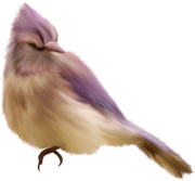 0-1c0e05-8195c801-orig