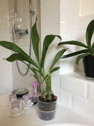 F4F35FFD-5B0F-4584-86B7-92CAD9006904