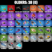 gliders-comp