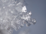 DSC01678-crop