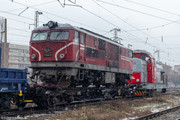 IMG-4126