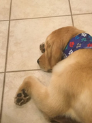 image_2023-02-02_231251009