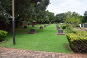 DSC-0013