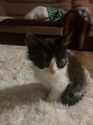 8A5B35FA-334D-4D2F-8B98-0BEEBEC271F9