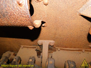 DSCN6547