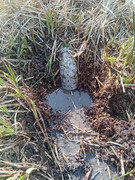 curage, découverte du tube d'évac coudé et trop haut