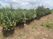 6BCE3E76-CC9B-4625-A013-0AED4D66D7FE