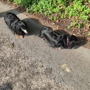 [Image: IMG-20211104-215716-217.jpg]