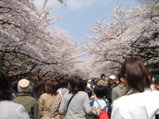 photo 33 2025 12 24 16 27 05