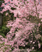 photo 10 2025 12 14 20 03 45