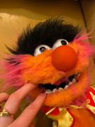 photo_2023-04-11 23.55.37