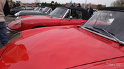 P-20210307-110703-p.jpg