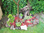IMG-20200528-175016
