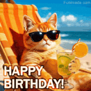 birthday-cat