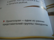 https://i.postimg.cc/mPdkSDC1/100-8588.jpg