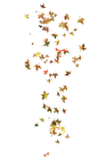 TADD_elements_Shimmer_Fall_33