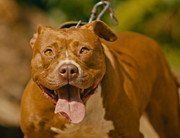 Screenshot_20230710_170323_Gallery