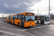 IMG-2738