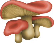 Pumpkinfairykitpudnmushroomss