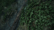 Alan-Wake2-2026-06-06-16-17-19-429