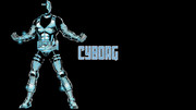 cborgwp