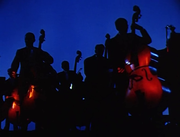 vlcsnap-2020-01-28-16h35m50s67