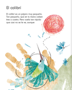 El colibrí