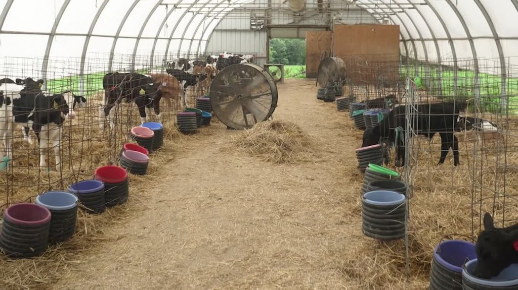 [Image: ghjs2vtl8x77.jpg]