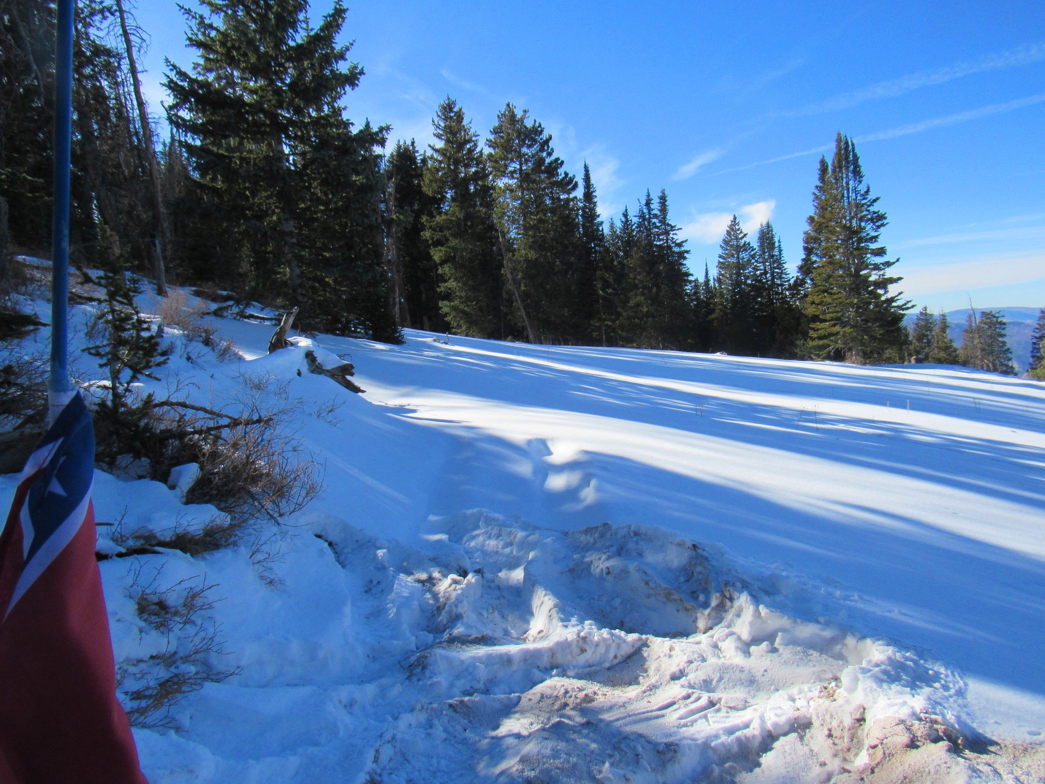 IMG 3710 — Postimages