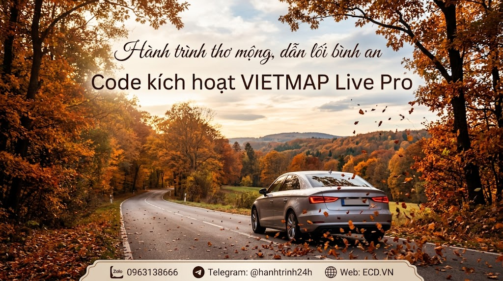 vietmap pro yearly plan