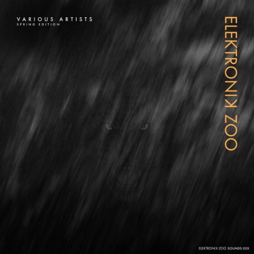 VA-Spring-Edition-EZOO020-WEB-2026-WAV.j