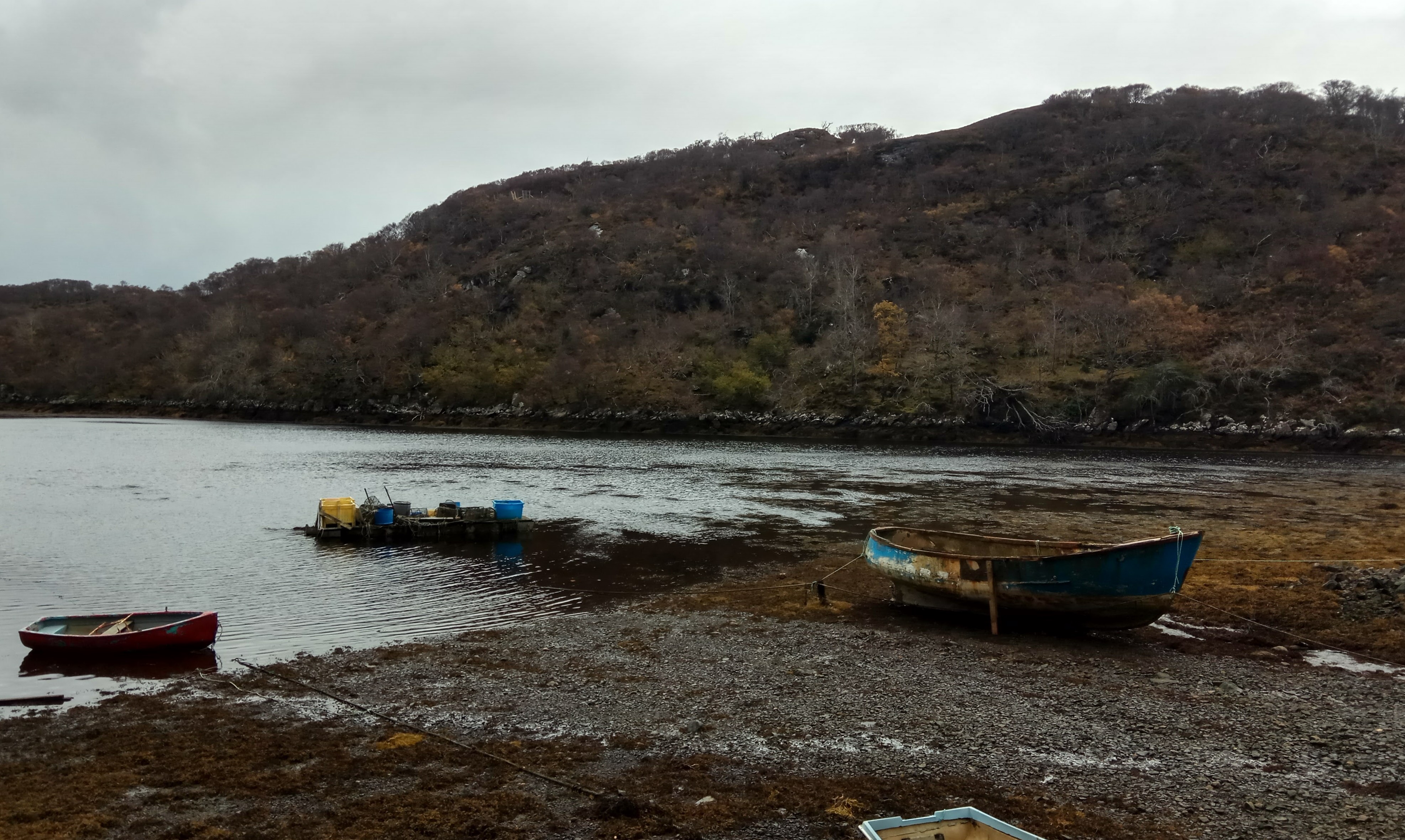 IMG-20171114-131751-HDR.jpg
