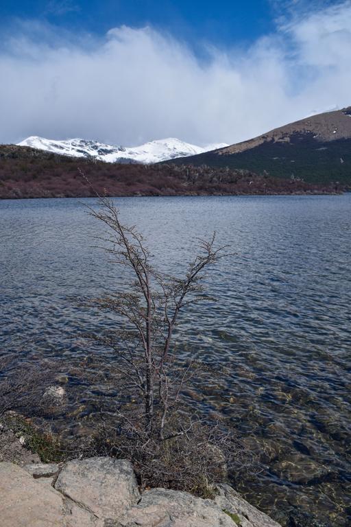 В джазе только девушки или аргентинско-бразильский калейдоскоп В джазе только девушки или аргентинско-бразильский калейдоскоп