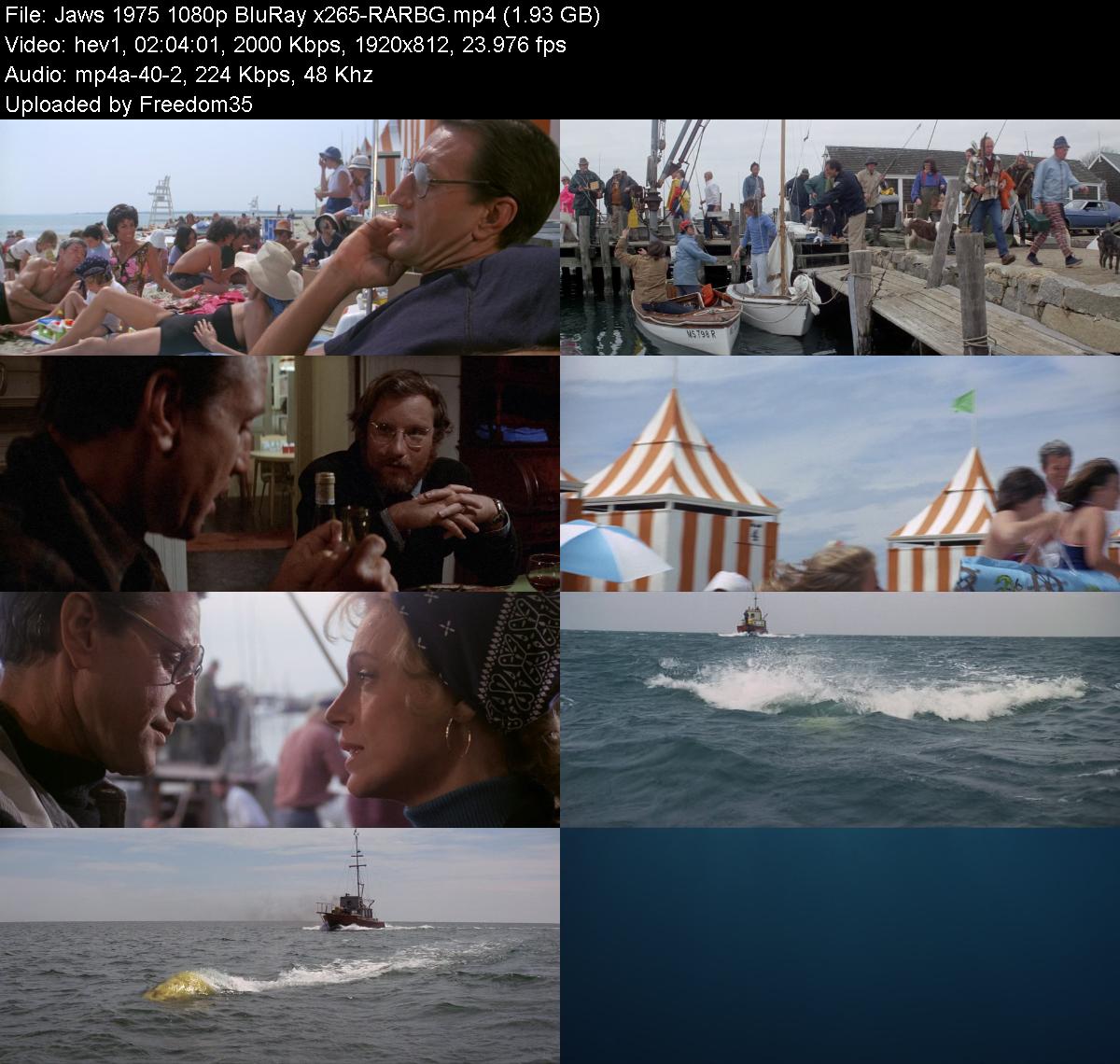 Jaws-1975-1080p-Blu-Ray-x265-RARBG.jpg