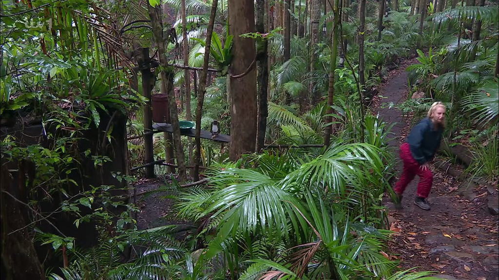 [Image: 4rxggll133wj.png]