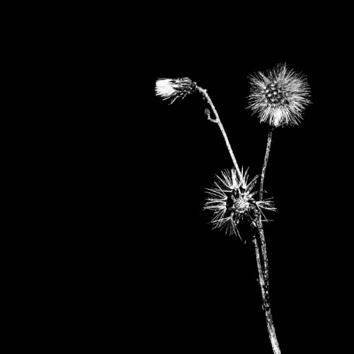 Jon-Dasilva-x-Donald-Waugh-x-Skyskrapa-S