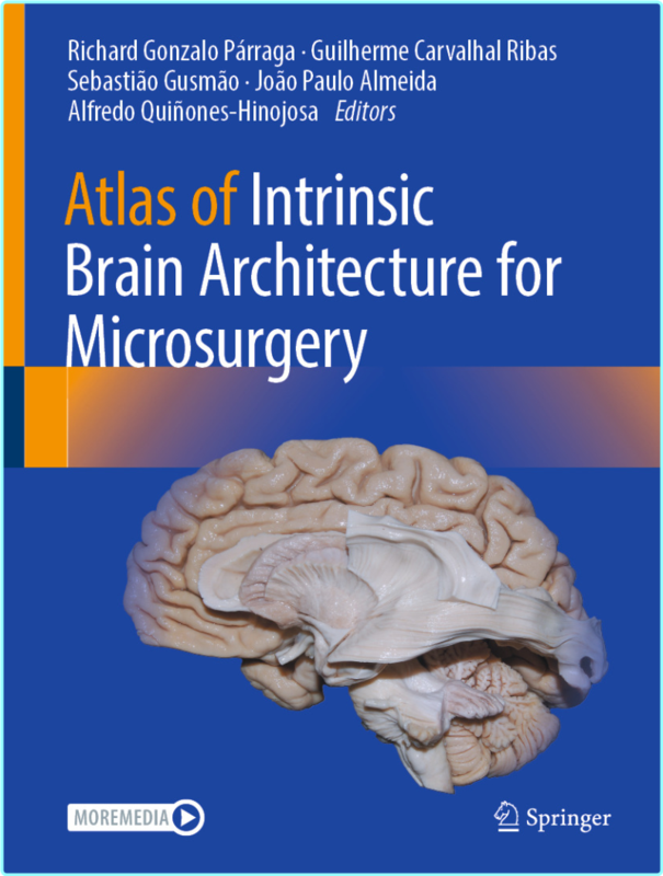 Atlas Of Intrinsic Brain Architecture For Microsurgery (Richard Gonzalo Párraga, Guilherme Carvalhal Ribas, Sebastião Gusmão, João Paulo Almeida, A…
