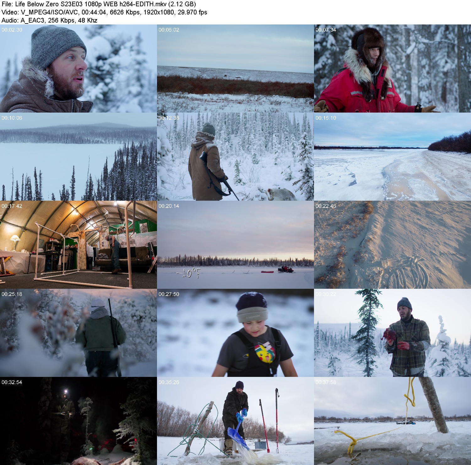 [Image: 2p1pmjbfry26.jpg]