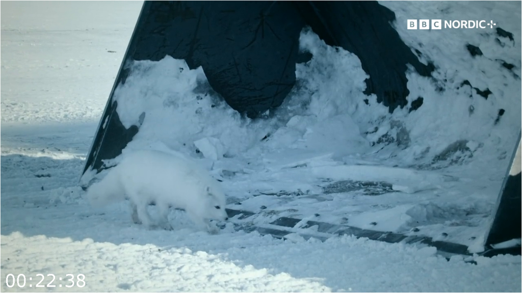 [Image: 6i4c7qbba8dh.png]