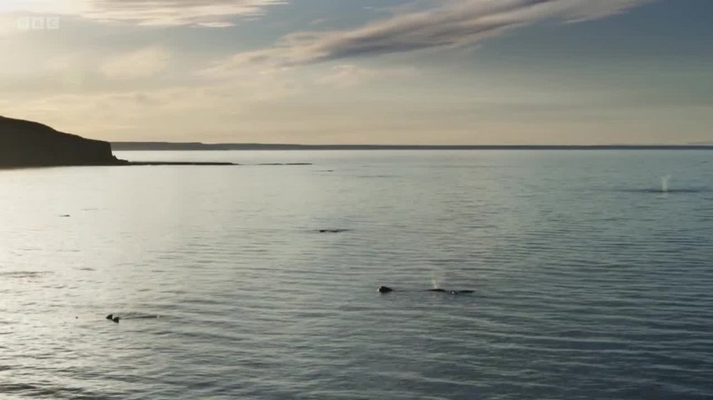 [Image: aaxgp5r3o9r9.jpg]