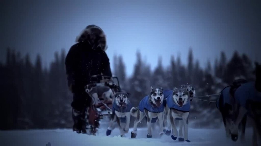 [Image: 7zm8r7vase5i.jpg]