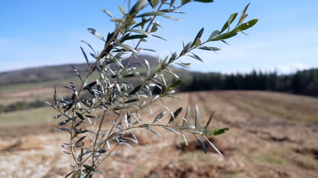 [Image: 1hy3i7mhrn8t.png]