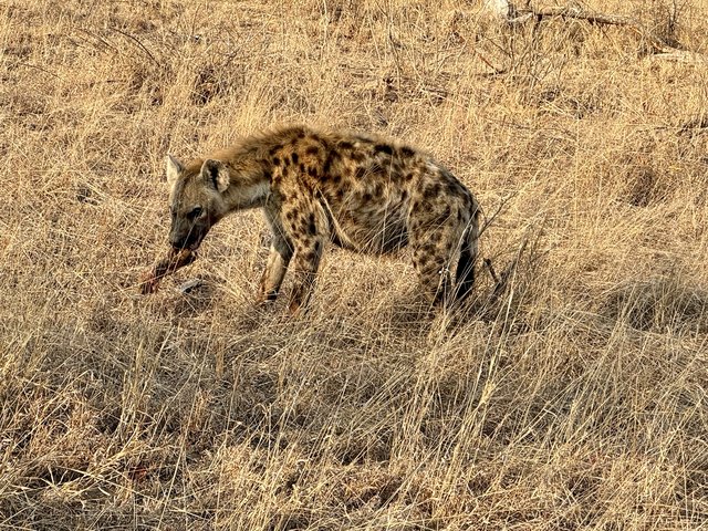 [Linked Image from i.postimg.cc]